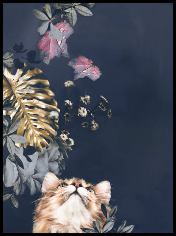 Pet Couture 3 | INDRAMMET BILLEDE Indrammet billede MF 30x40 Sort
