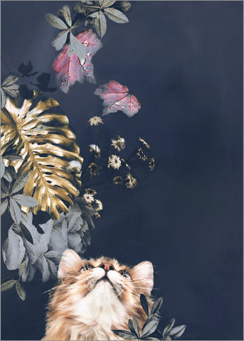 Pet Couture 3 | PLAKAT Plakat MF