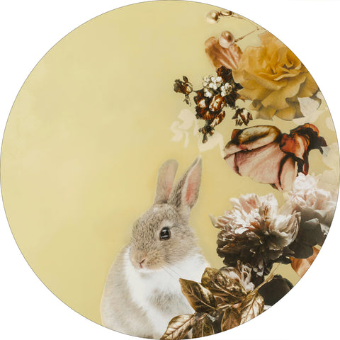 Pet Couture 4 | CIRCLE ART Circle Art ART COPENHAGEN   