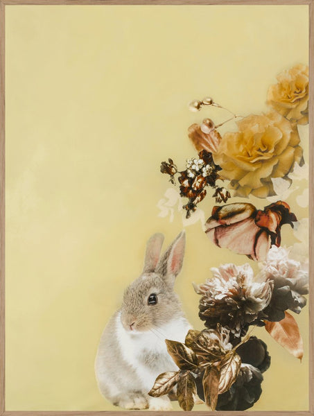Pet Couture 4 | INDRAMMET BILLEDE Indrammet billede MF 30x40 Egeramme