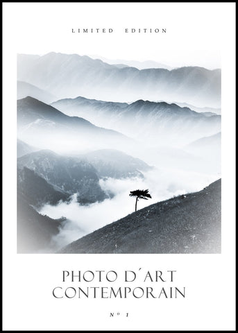 Photo D´Art No 1 | INDRAMMET BILLEDE Indrammet billede MF 30x40 Sort