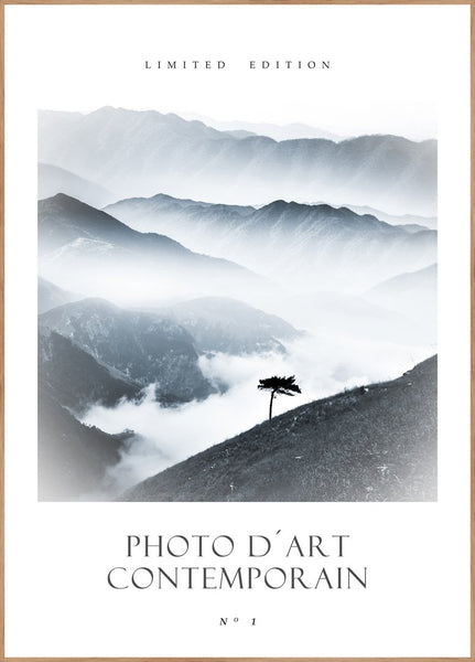 Photo D´Art No 1 | INDRAMMET BILLEDE Indrammet billede MF 30x40 Egeramme