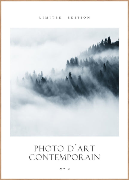 Photo D´Art No 4 | INDRAMMET BILLEDE Indrammet billede MF 30x40 Egeramme