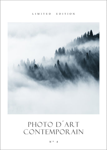 Photo D´Art No 4 | PLAKAT Plakat MF