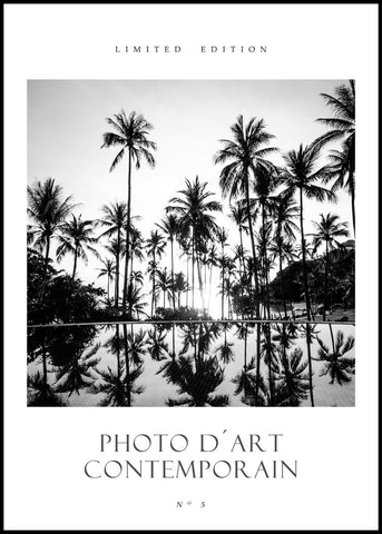 Photo DArt No 5 | INDRAMMET BILLEDE Indrammet billede MF 30x40 Sort