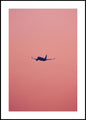 Pink flight | INDRAMMET BILLEDE