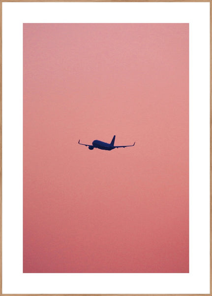 Pink flight | INDRAMMET BILLEDE Indrammet billede MF 30x40 Egeramme