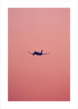 Pink flight | PLAKAT