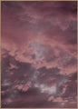Pink sky | INDRAMMET BILLEDE