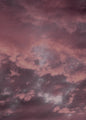 Pink sky | PLAKAT