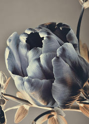 Baroque 3 | PLAKAT Plakat MF