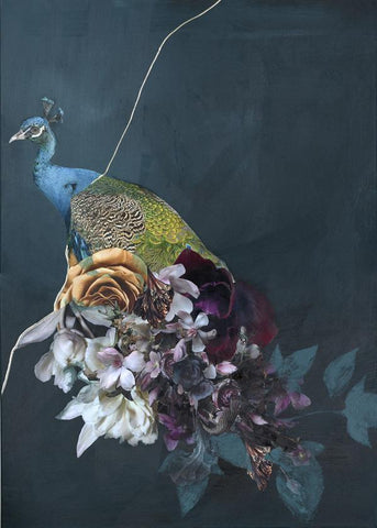 Haute couture 10 | PLAKAT Plakat MF