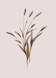 Wheat | PLAKAT Plakat MF