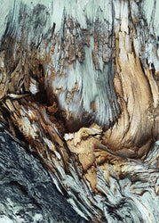 Wooden | PLAKAT Plakat MF