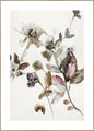Playing Flower 2 | INDRAMMET BILLEDE