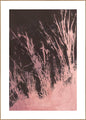 Pure Nature 3 | INDRAMMET BILLEDE