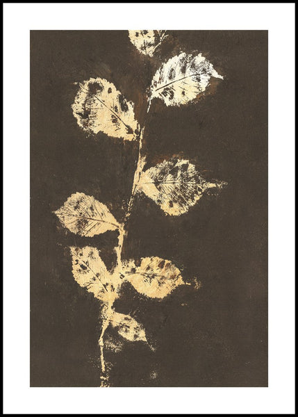 Pure Nature 4 | INDRAMMET BILLEDE Indrammet billede MF 30x40 Sort