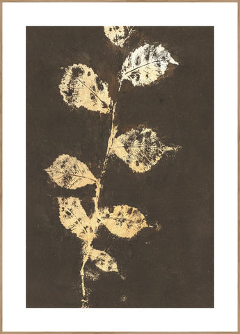 Pure Nature 4 | INDRAMMET BILLEDE Indrammet billede MF 30x40 Egeramme