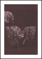 Pure Nature 5 | INDRAMMET BILLEDE Indrammet billede MF 30x40 Sort
