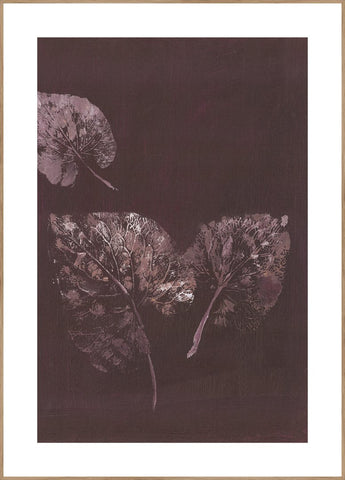 Pure Nature 5 | INDRAMMET BILLEDE Indrammet billede MF 30x40 Egeramme