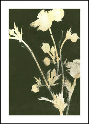 Pure Nature 6 | INDRAMMET BILLEDE Indrammet billede MF 30x40 Sort