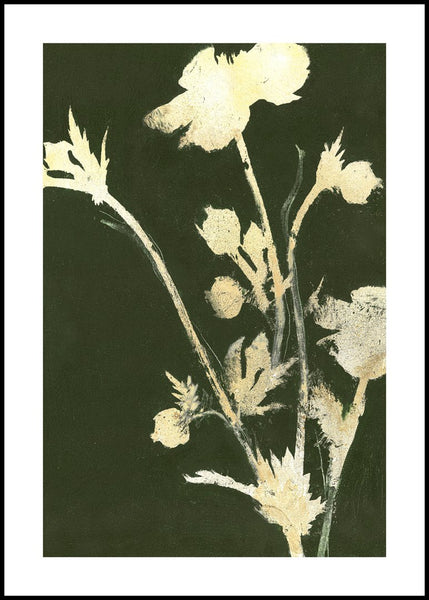 Pure Nature 6 | INDRAMMET BILLEDE Indrammet billede MF 30x40 Sort