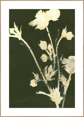 Pure Nature 6 | INDRAMMET BILLEDE Indrammet billede MF 30x40 Egeramme