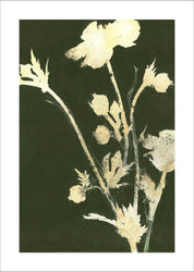 Pure Nature 6 | PLAKAT Plakat MF