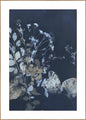 Pure Nature 7 | INDRAMMET BILLEDE