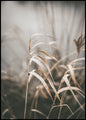Reed 2 | INDRAMMET BILLEDE