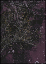 River of wine | INDRAMMET BILLEDE Indrammet billede MF