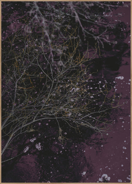 River of wine | INDRAMMET BILLEDE Indrammet billede MF