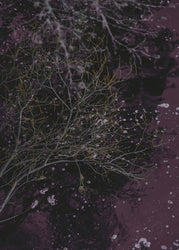 River of wine | PLAKAT Plakat MF