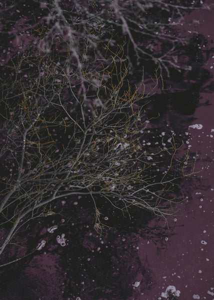 River of wine | INDRAMMET BILLEDE Indrammet billede MF