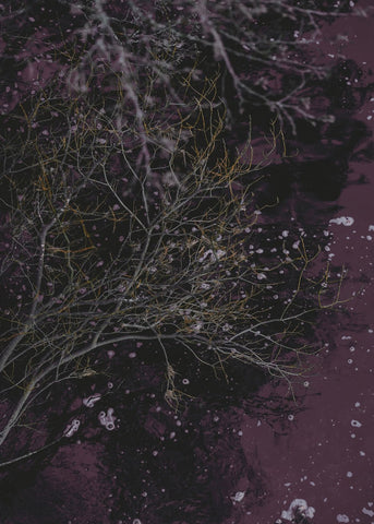 River of wine | PLAKAT Plakat MF