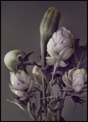 Secret 13 | INDRAMMET BILLEDE Indrammet billede MF