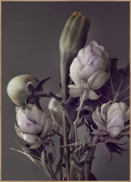 Secret 13 | INDRAMMET BILLEDE Indrammet billede MF