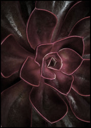 Secret 16 | INDRAMMET BILLEDE Indrammet billede MF