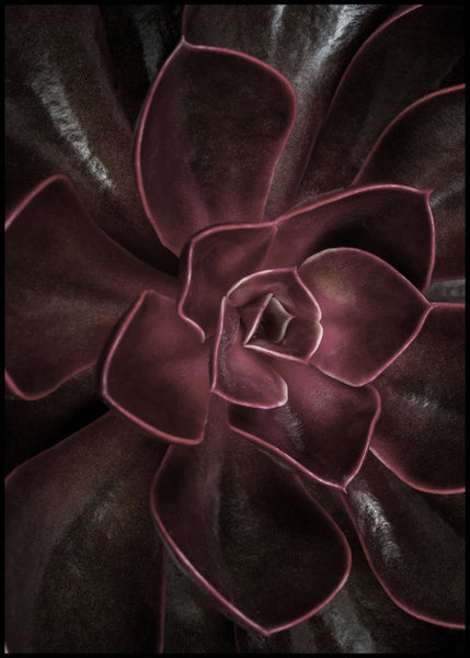 Secret 16 | INDRAMMET BILLEDE Indrammet billede MF