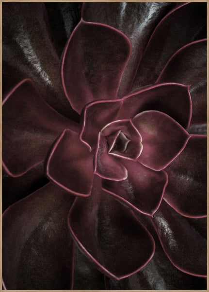 Secret 16 | INDRAMMET BILLEDE Indrammet billede MF