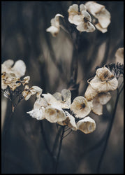 Secret 4 | INDRAMMET BILLEDE Indrammet billede MF 30x40 Sort