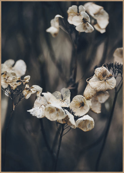 Secret 4 | INDRAMMET BILLEDE Indrammet billede MF 30x40 Egeramme