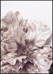 Sigma 1 | INDRAMMET BILLEDE Indrammet billede MF 30x40 Sort