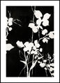 Silhouet Leaves 1 | INDRAMMET BILLEDE