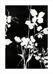 Silhouet Leaves 1 | PLAKAT Plakat MF