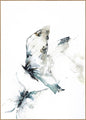 Skydust | INDRAMMET BILLEDE