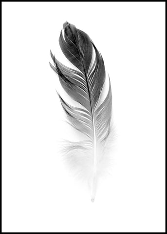 Soft Feather | INDRAMMET BILLEDE Indrammet billede MF 30x40 Sort