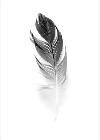 Soft Feather | PLAKAT Plakat MF