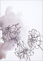 Soft Flower 2 | PLAKAT