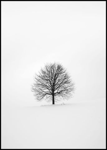 Solitary 1 | INDRAMMET BILLEDE Indrammet billede MF